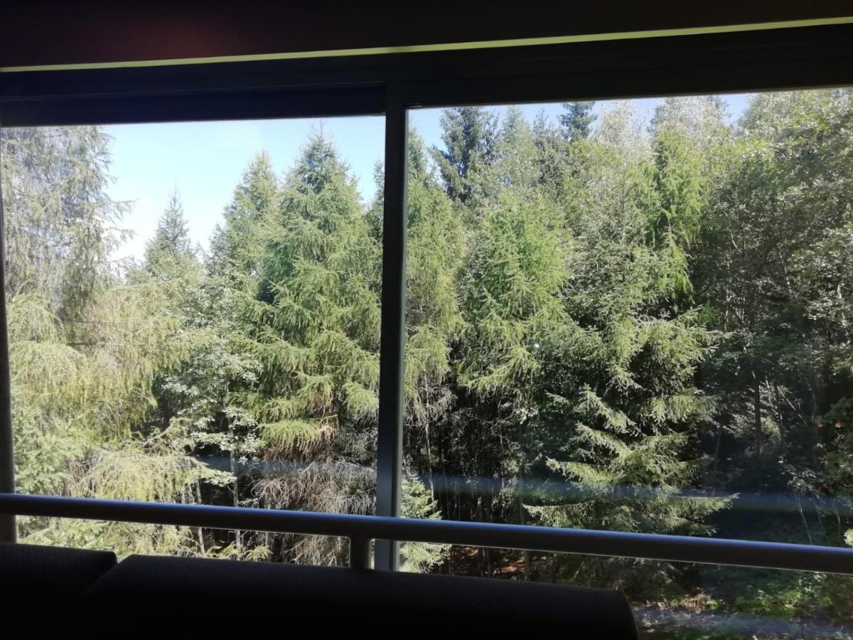 Finestra Sul Bosco - Monolocale Marilleva 1400アパートメント エクステリア 写真